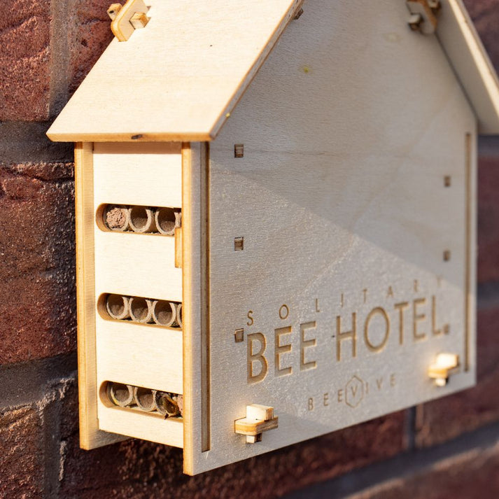 Letterbox Diy Bee Hotel Kit